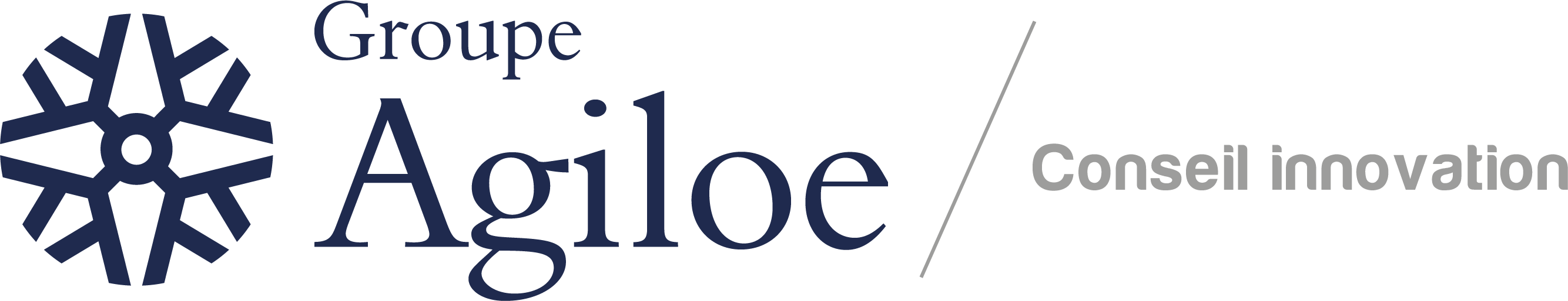 Logo Agiloe