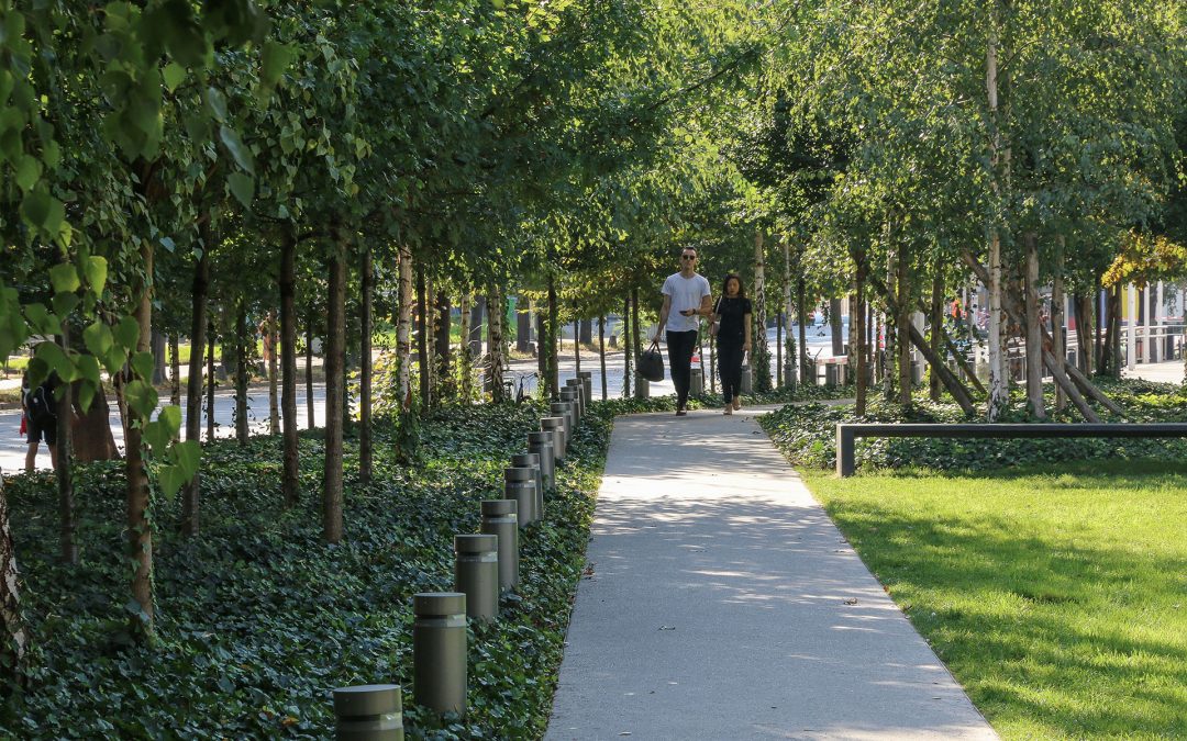 Forêts urbaines