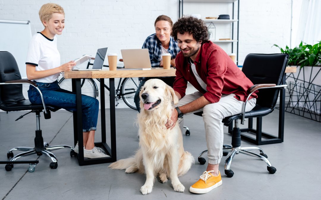 Chiens de bureau