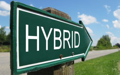 Hybridité