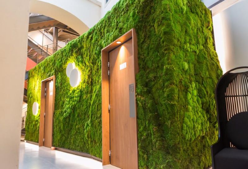 Mur à vivre – Flair by Citti Mur végétal design intégrant des portes en bois | Citti