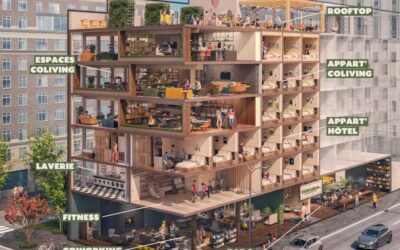 Ruche urbaine