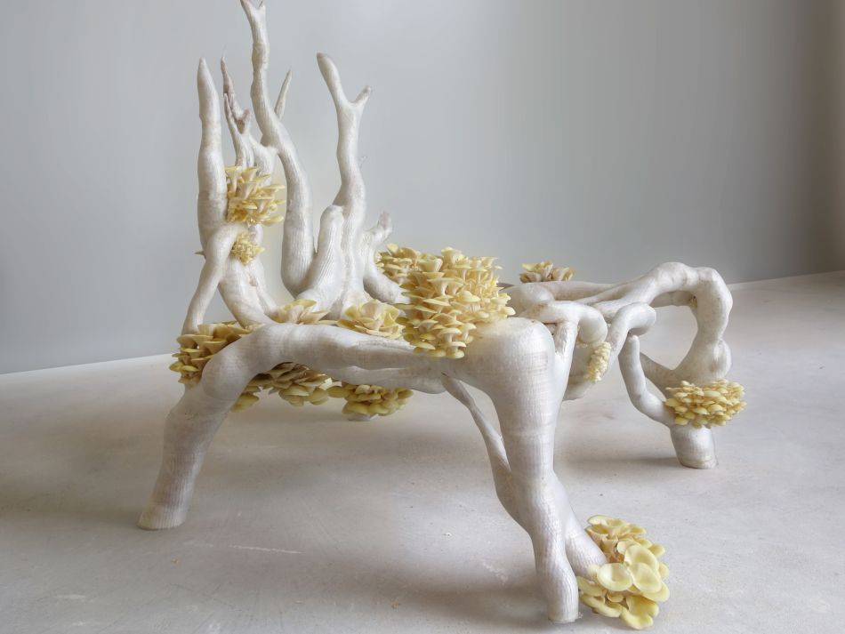 Mobilier design en mycélium faite à partir de champignons, illustrant le design vivant et durable.