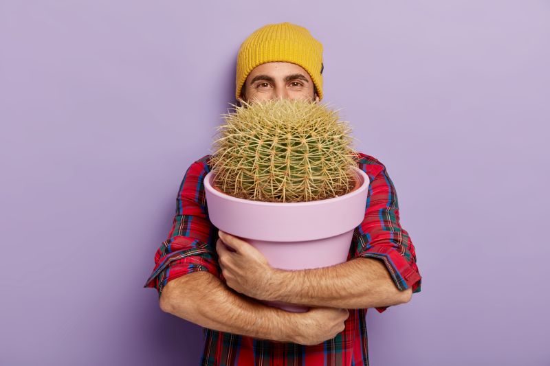 Personne tenant un cactus en pot, symbole des objets personnels apportés au bureau pour améliorer le confort et personnaliser l’espace de travail.
